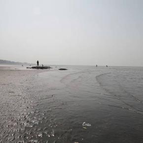 Vasai Sea 